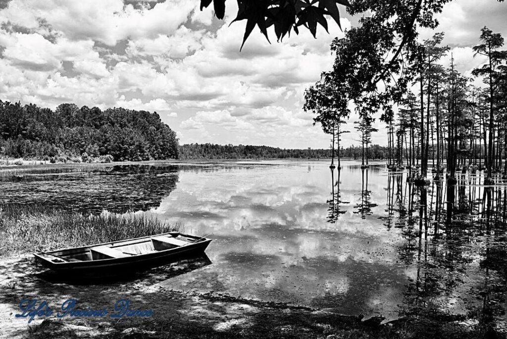 Black and White of row boat in the pond at Goodale State Park.