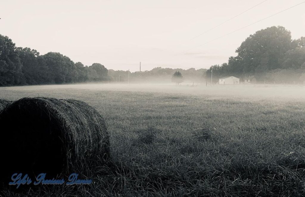 Black and white of a foggy pasture with a haybale in the foreground