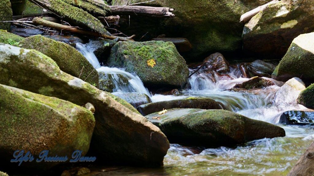 Flowing waterfall through the moss covered rocks, into a mountain stream.