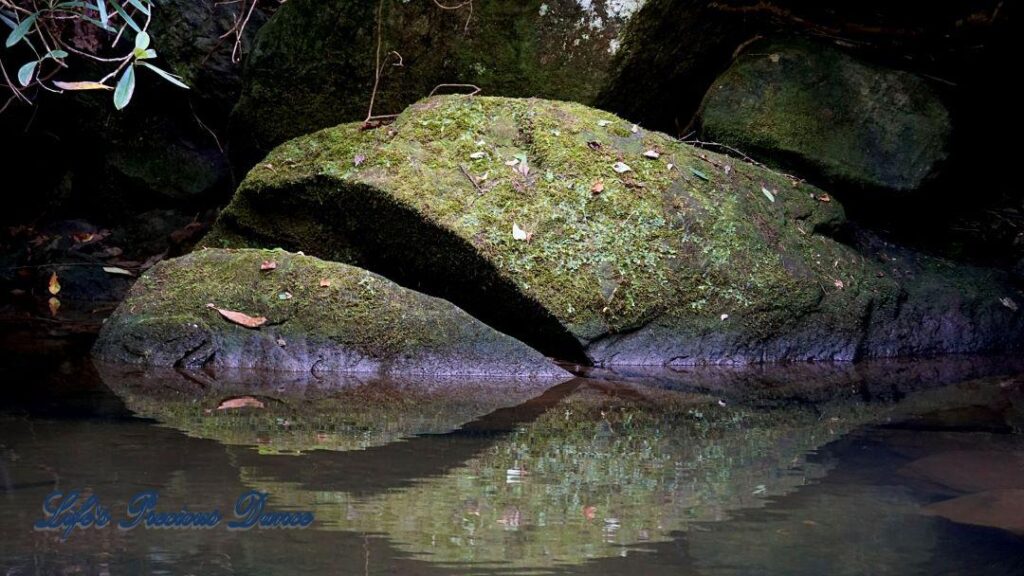 Moss covered split rock, reflecting in a mountain stream.