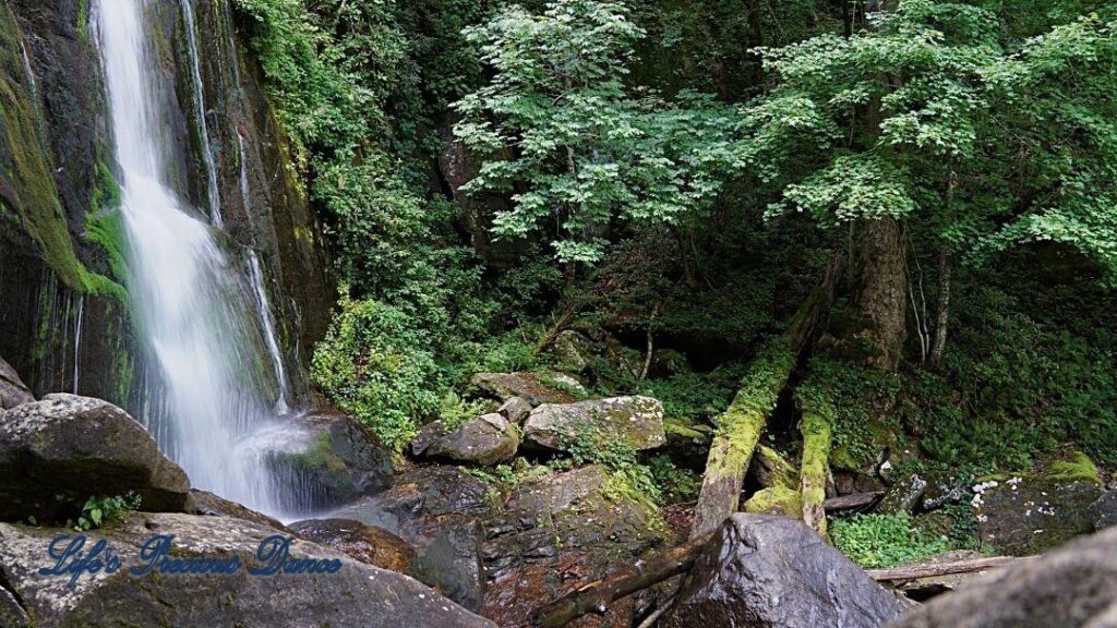 Waterfall flowing down the mountain, over moss coverved rocks. Moss coverved trees fallinto the mountain stream.