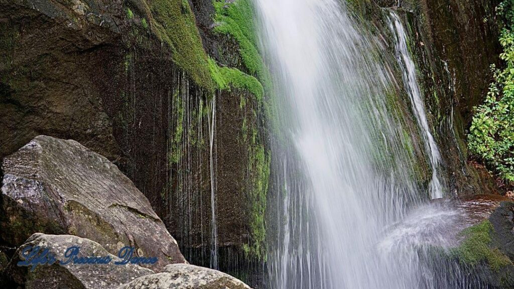 Close up of waterfall, flowing down the mountainside, over moss covered rocks.