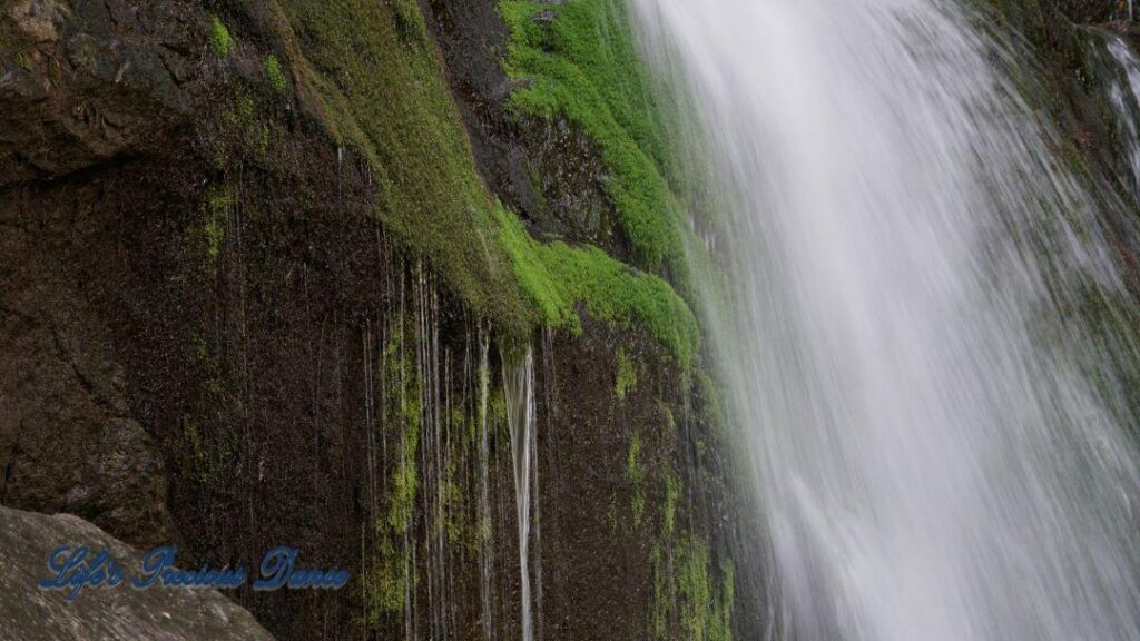 Close up of a waterfall, flowing down the mountainside, over moss covered rocks.