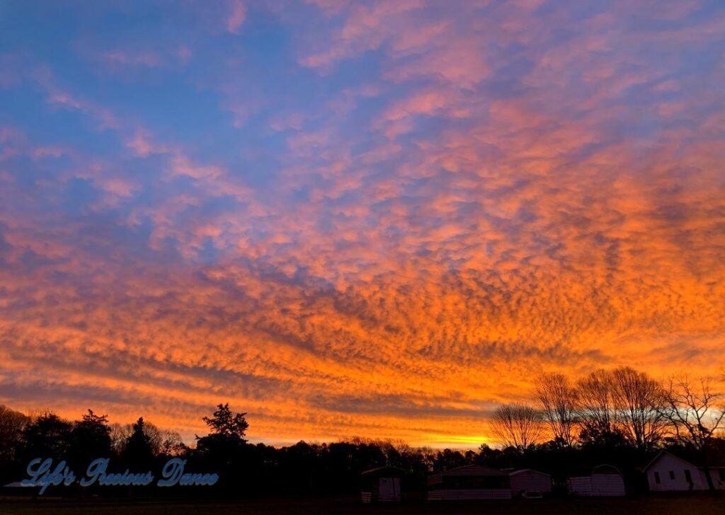 Colorful sunrise over a pasture with trees and barns in the background.