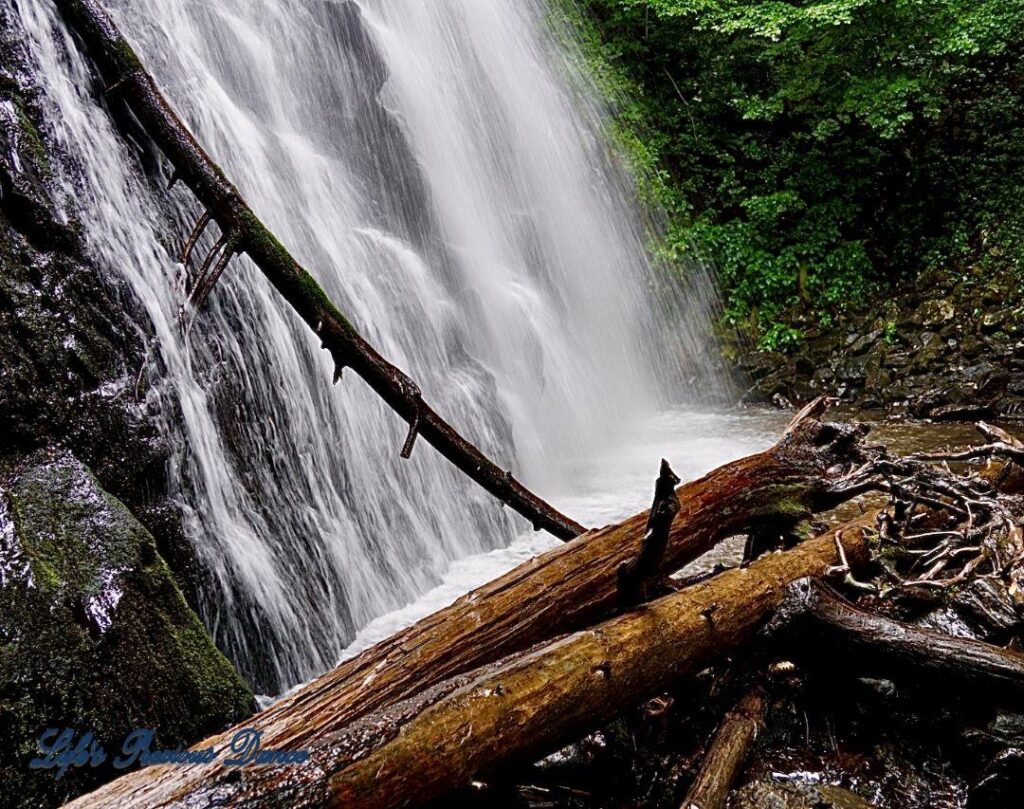 Crabtree Falls with downed trees in foreground.