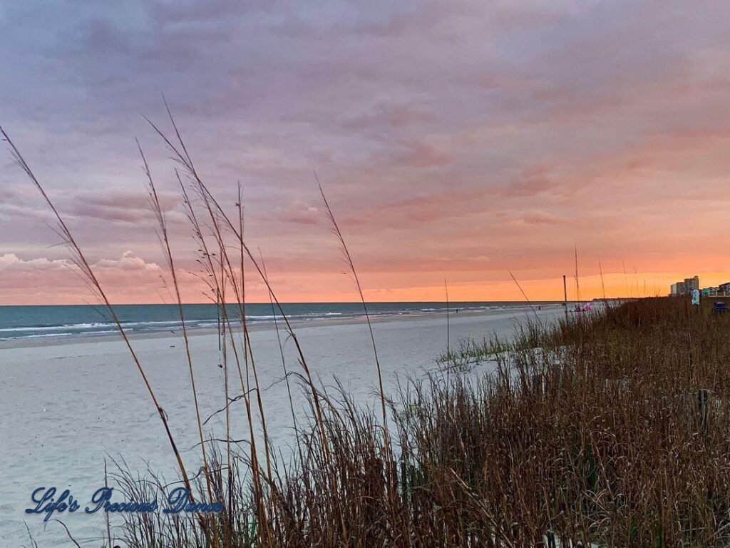 Sunset at Surfside Beach looking through beach grass towards ocean