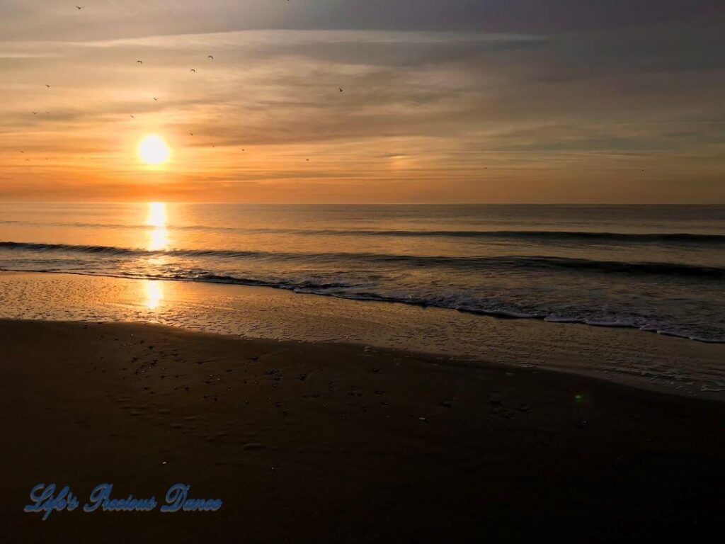 Sunrise reflecting onto the ocean, as waves roll in at Myrtle Beach, South Carolina. Seabirds flying in front of sun.