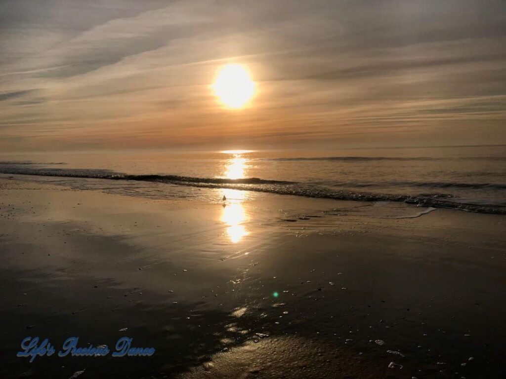 Sunrise reflecting onto the ocean, as waves roll in at Myrtle Beach, South Carolina. Seabird walking on beach in suns reflection.