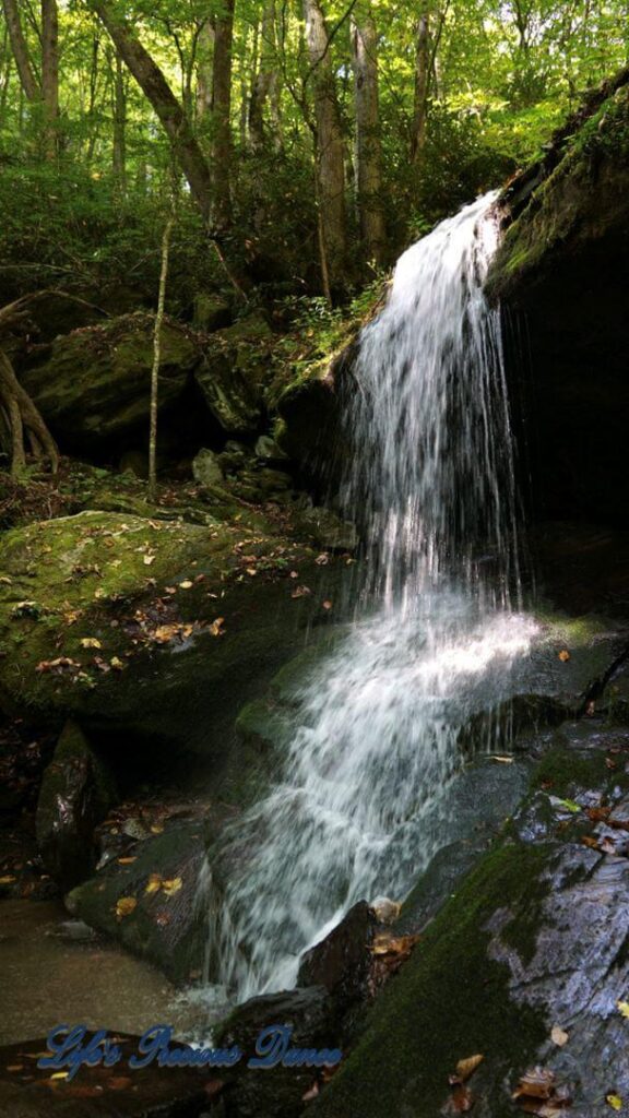 Otter Falls mountain stream spilling over a rock ledge into a pool below. Moss covered rocks, trees and colorful leaves