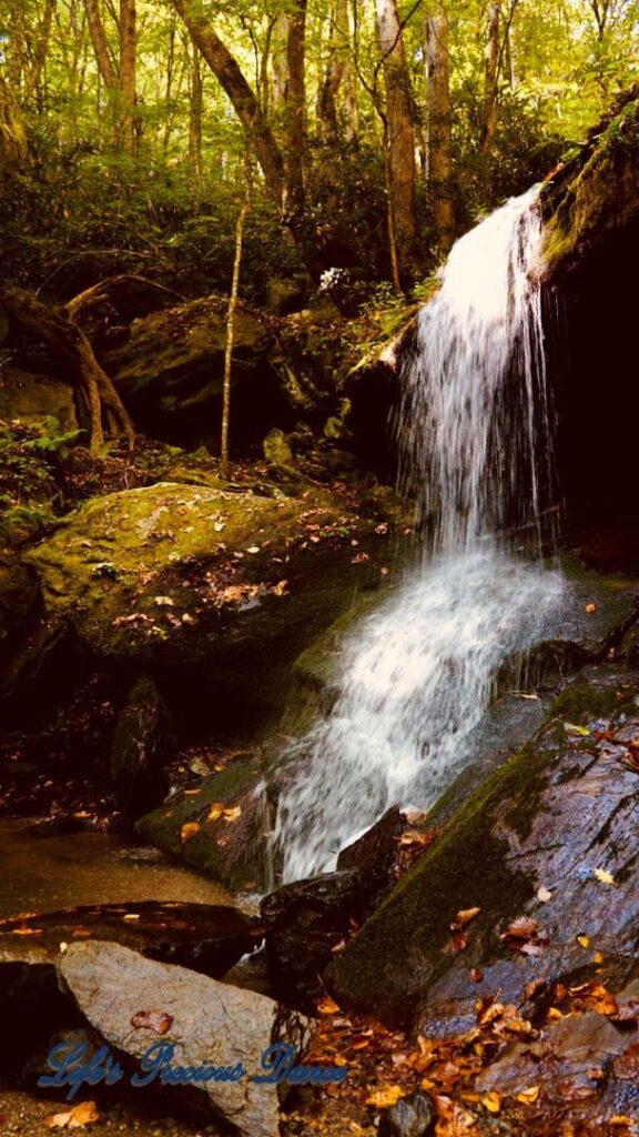 Otter Falls mountain stream spilling over a rock ledge into a pool below. Moss covered rocks, trees and colorful leaves