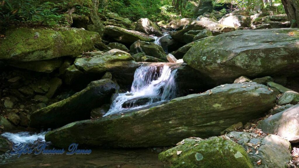 Mountain stream flowing through and over moss covered rocks through the forest.