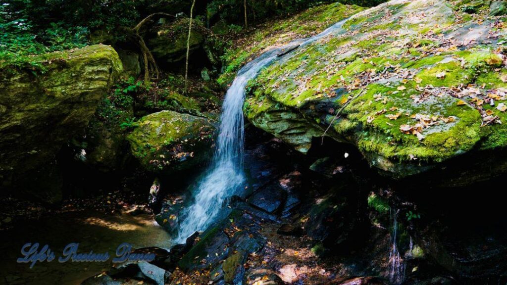 Otter Falls mountain stream spilling over a rock ledge into a pool below. Moss covered rocks and trees.