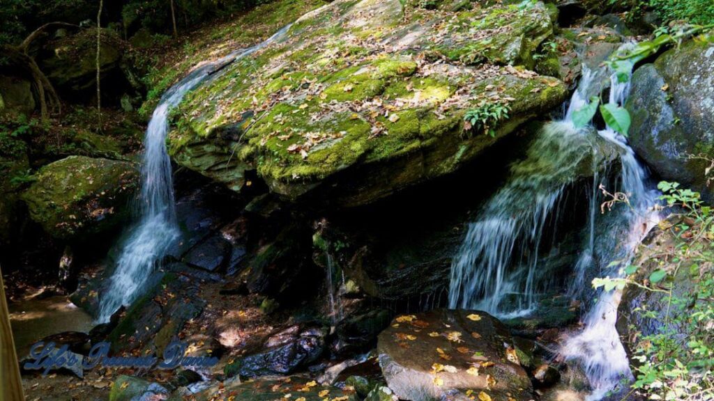 Otter Falls mountain stream spilling over a rock ledge into a pool below. Moss covered rocks and trees.