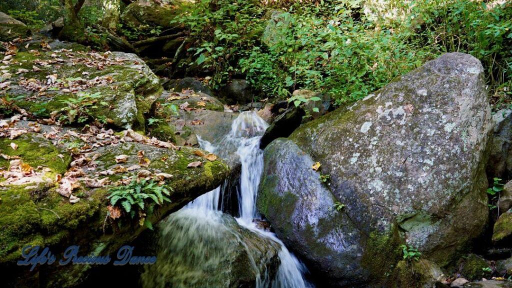 Otter Falls mountain stream spilling over a rock ledge into a pool below. Moss covered rocks and trees.