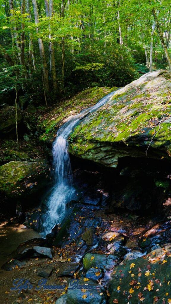 Otter Falls mountain stream spilling over a rock ledge into a pool below. Moss covered rocks, trees. and colorful leaves.