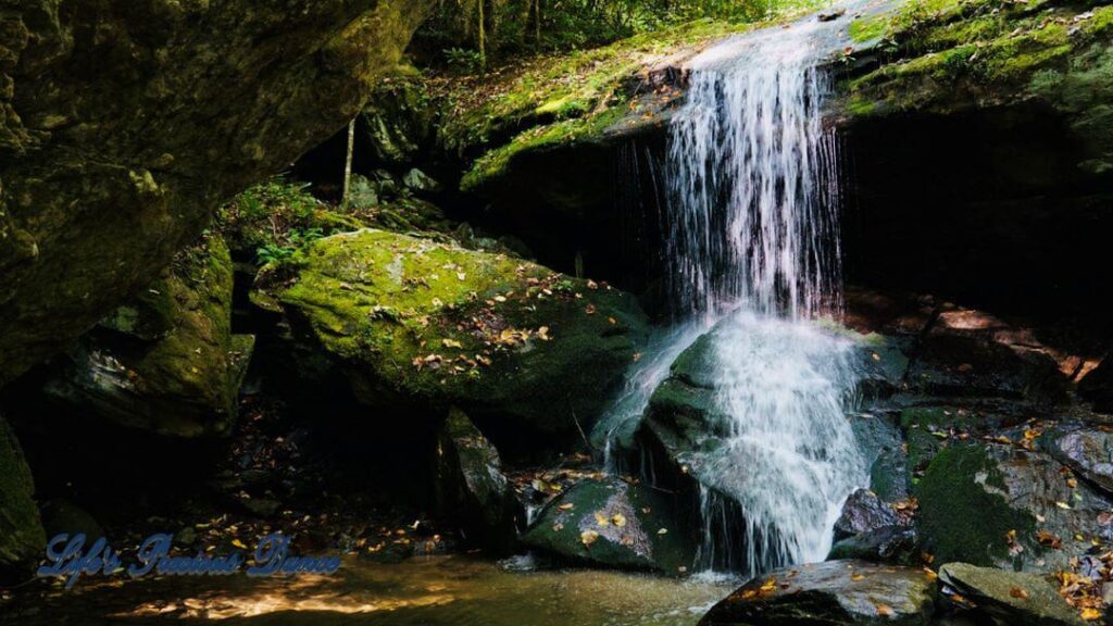 Otter Falls mountain stream spilling over a rock ledge into a pool below. Moss covered rocks and colorful leaves.