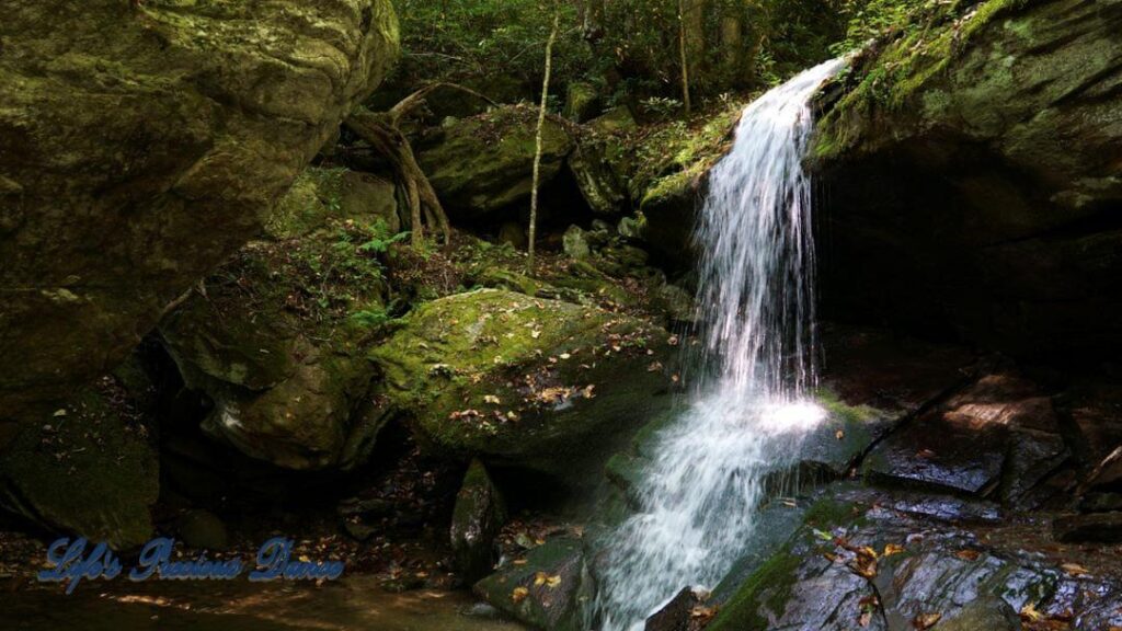 Otter Falls mountain stream spilling over a rock ledge into a pool below. Moss covered rocks, trees and colorful leaves