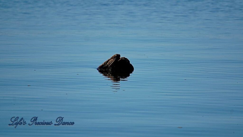 Solo rock reflecting on the crystal clear blue Lake Marion