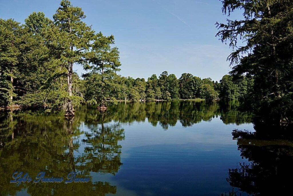 Landscape photo of Swan Iris Lake with trees and blue skies reflecting in the water.