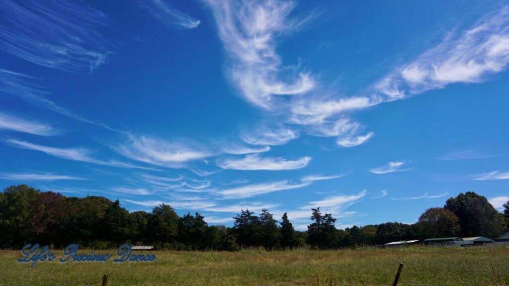 Cloud resembling an angel against a Carolina blue sky above trees and a pasture. Several barns in the background.