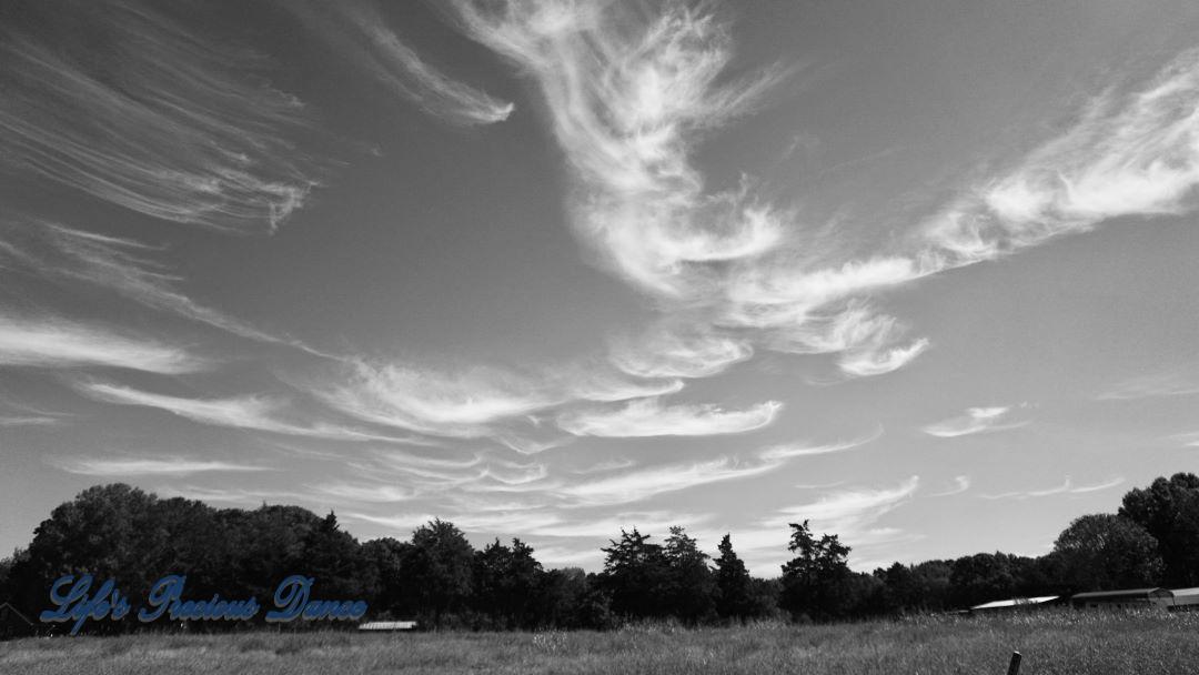 Wispy black and white clouds over barns