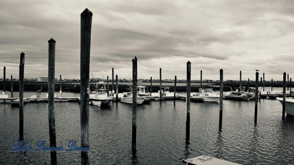 Black and white of boats in the marina at Murrells Inlet