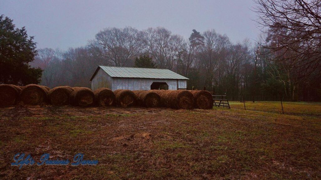 Haybales in front of a barn on a foggy day