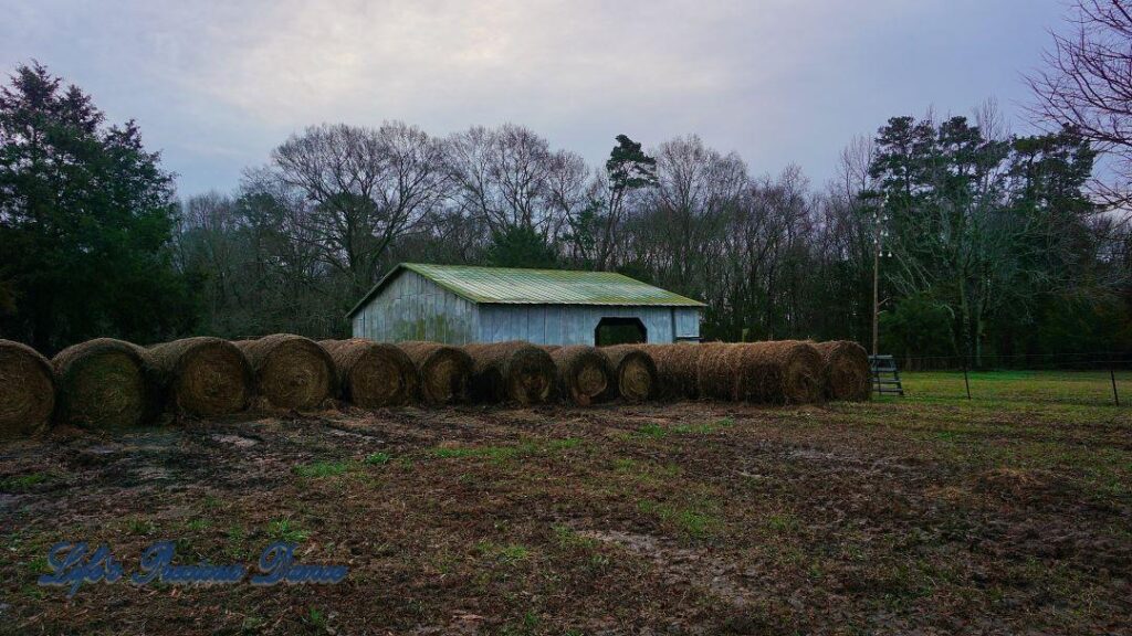 Haybales in front of a barn early in the morning.