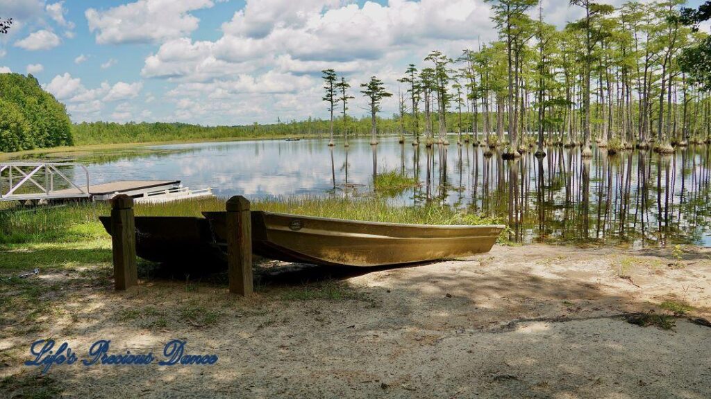 Row boat resting on the shore. Fluffy clouds and cypress trees reflecting on Adams Mill Pond in the background.