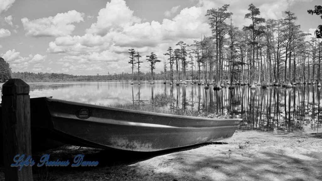 Black and white of a row boat resting on the shore. Clouds and cypress trees reflecting on Adams Mill Pond in the background.