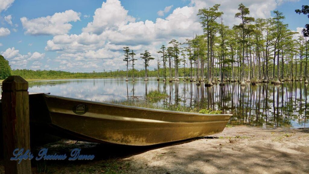 Row boat resting on the shore. Fluffy clouds and cypress trees reflecting on Adams Mill Pond in the background.