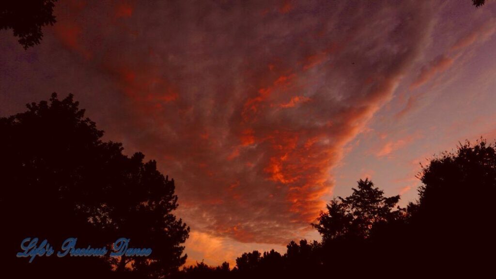 Colorful sunset showing through the trees