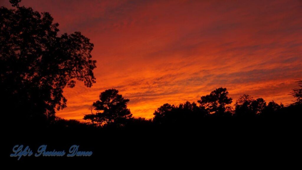 Sunset above trees.