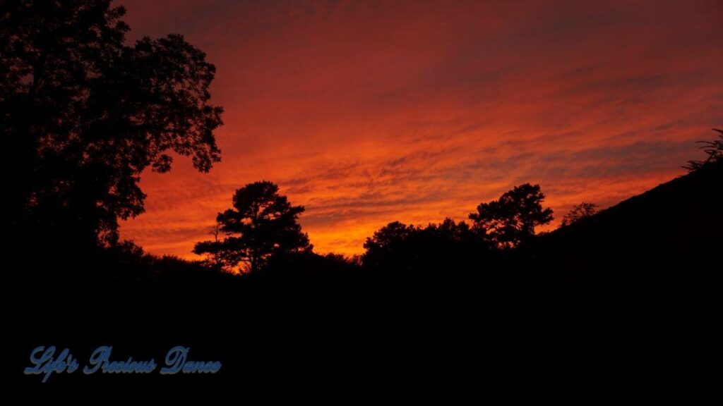 Sunset above trees and a barn