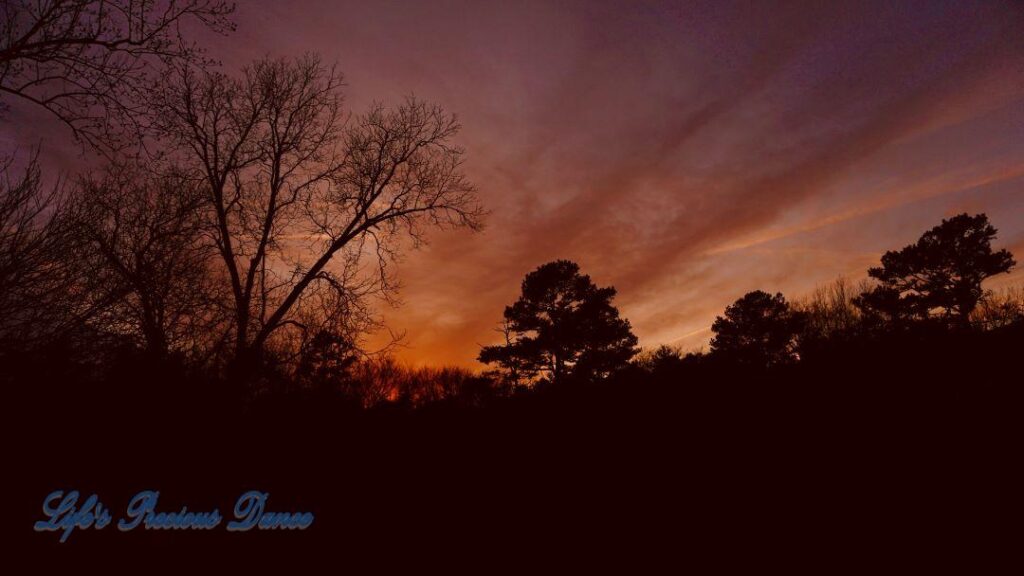 Colorful sunset showing through the trees