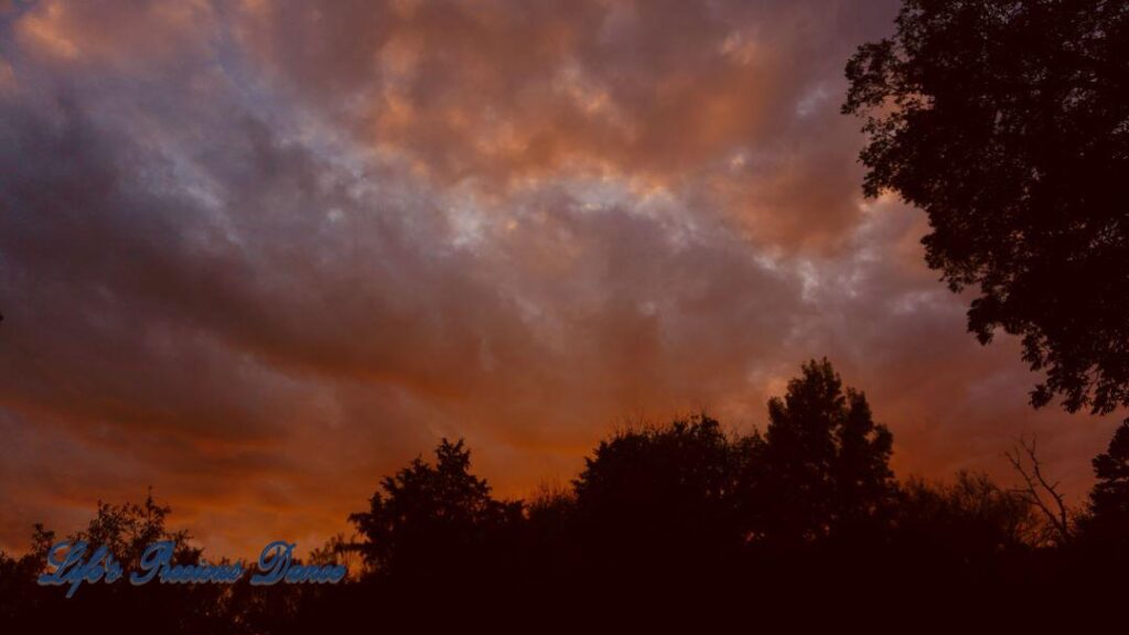 Colorful sunset showing through the trees