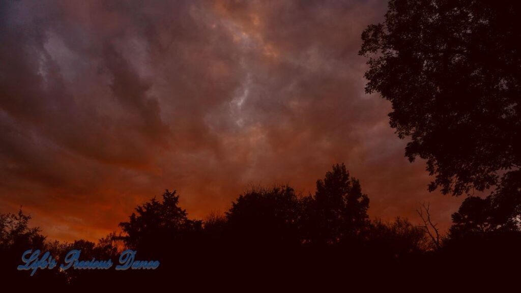 Colorful sunset showing through the trees