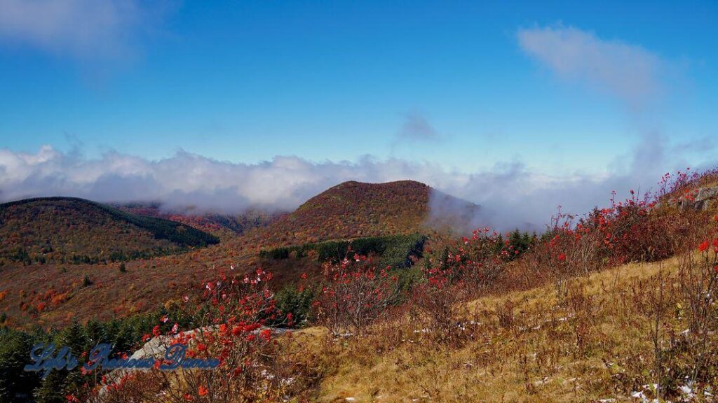 Landscape view from the top of Black Balsam Knob