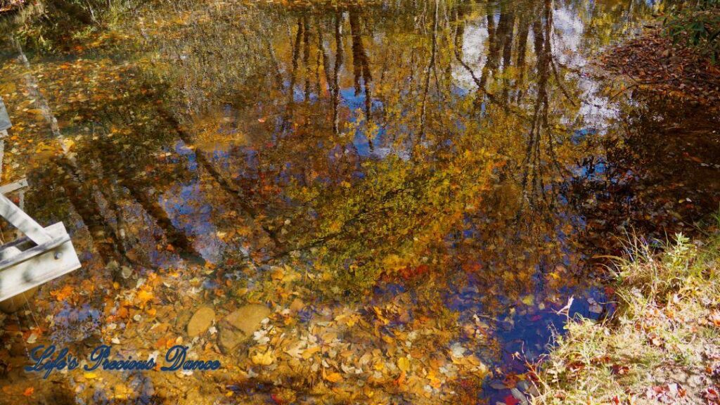 Colorful trees and clouds reflecting on Price Lake