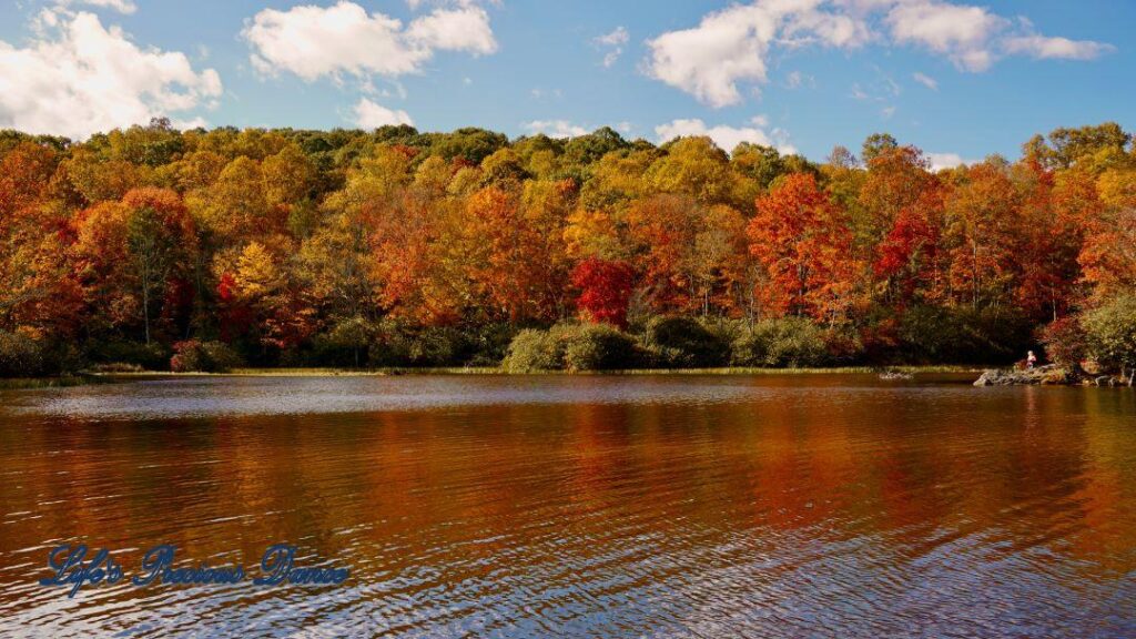 Colorful tress reflecting in Price Lake. Passing clouds overhead and a person on the bank,