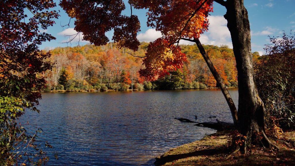 Price Lake with colorful trees in the background and passing clouds overhead. A lone tree stands to the right.