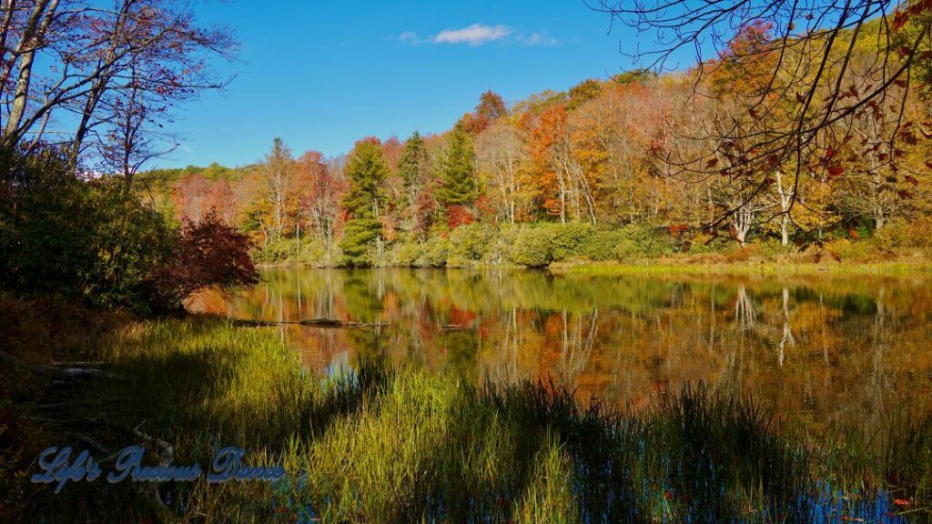 Colorful trees reflecting on Price Lake.