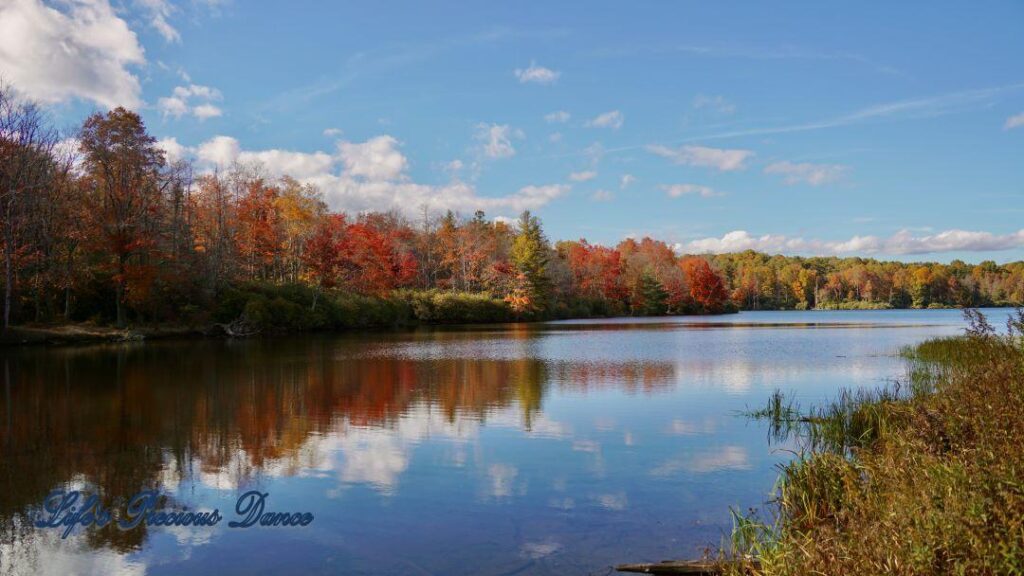 Landscape view of colorful trees and clouds reflecting in Price Lake.