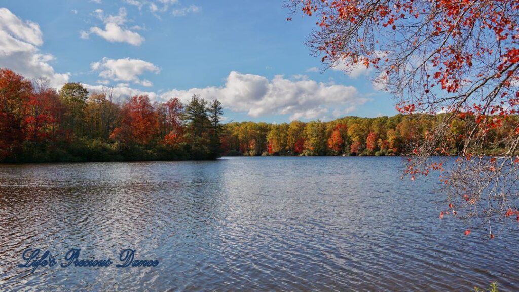 Landscape of Price Lake surrounded by colorful trees and fluffy passing clouds overhead.