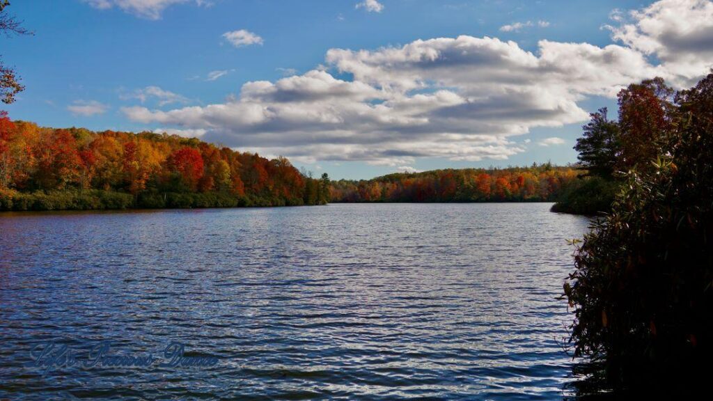 Landscape of Price Lake surrounded by colorful trees and fluffy passing clouds overhead.