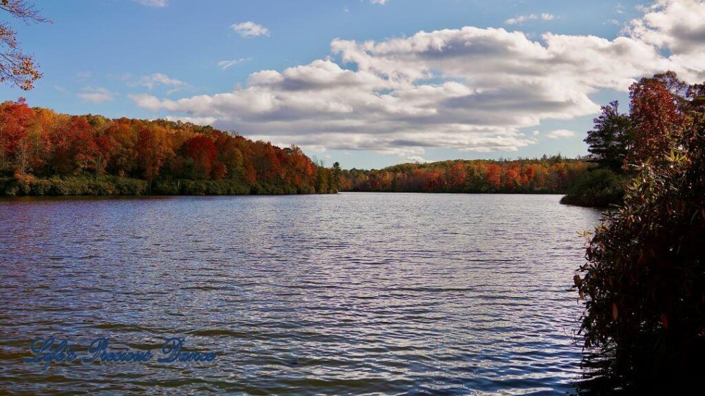 Landscape of Price Lake surrounded by colorful trees and fluffy passing clouds overhead.