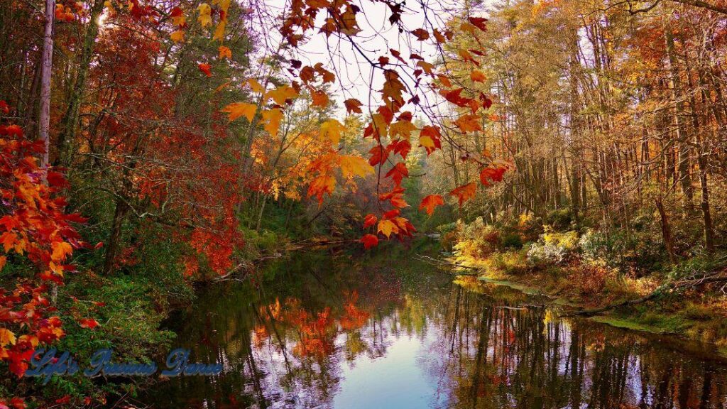 Colorful trees surrounding and reflecting in the Linville River.