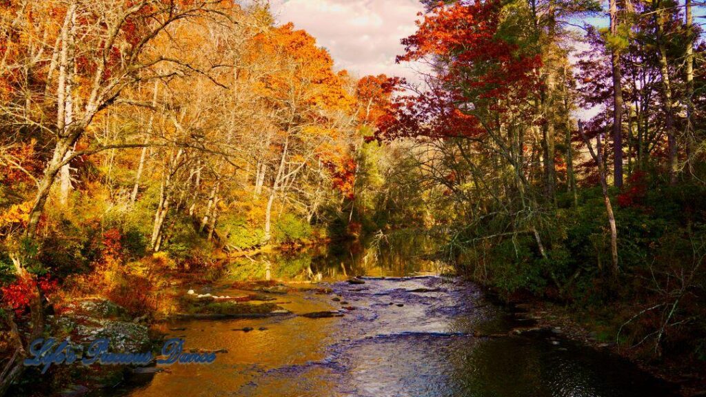 Colorful trees surrounding and reflecting in the Linville River.