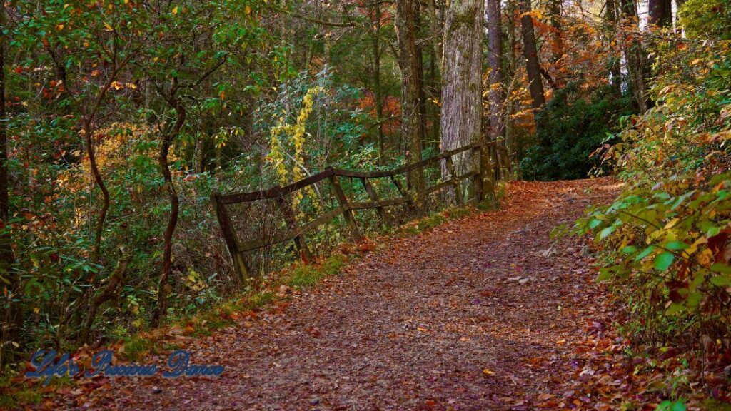 Crooked fence along a colorful trail leading to Linville Falls