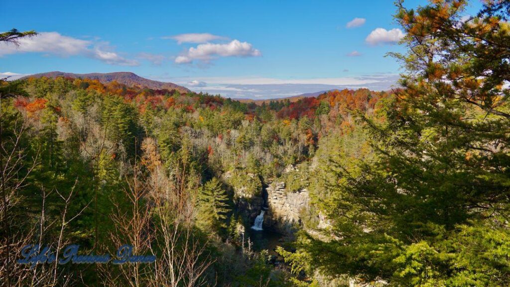 Landscape view of colorful trees surrounding Linville Falls.